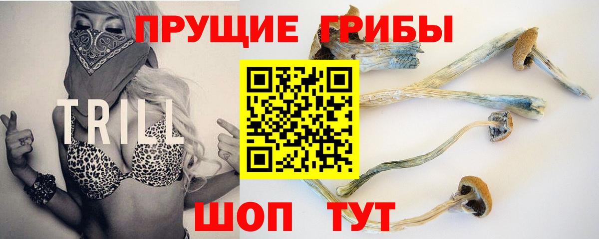 Псилоцибиновые грибы Psilocybine cubensis  цены наркотик  Губаха  Вход с VPN  Псилоцибиновые грибы Psilocybe 